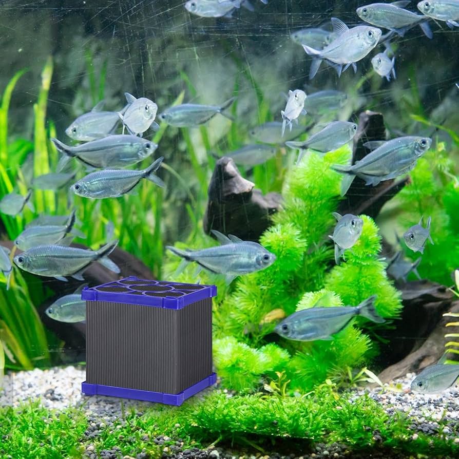 Amazon.co.jp: VAABKL(みき) 水槽用キューブフィルター、水族館